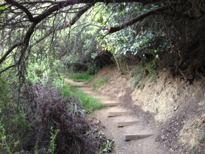 There are some sections of steep climbing complete with steps.