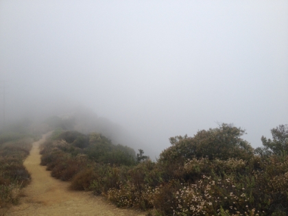 The same trail on a foggy (marine layer) morning.