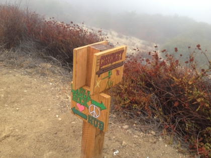One of the more artistic trail signs I've seen. Just past Eagle Rock.
