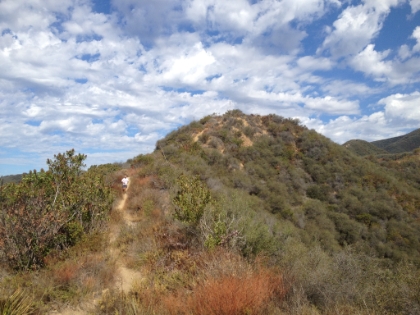 Almost back down to the junction with the Temescal Canyon/Rivas trail.