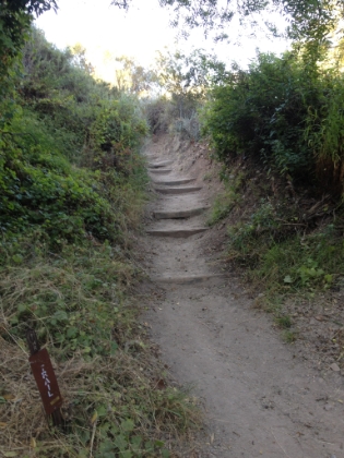 Heading up into Will Rogers State Historic Park from the end of Temescal Rivas Canyon.
