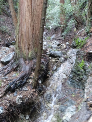 One more creek shot (with my now blurry camera).