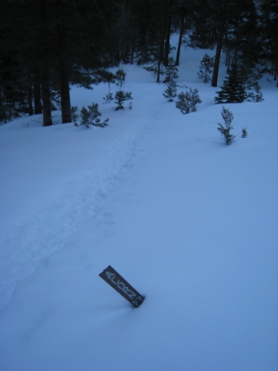 The same Acorn trailhead sign, only this time barely visible. Looks like I have someone's snowshoe tracks to follow for a while at least.