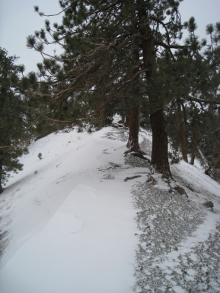 It's called the Backbone trail for good reason. You follow this narrow ridge between two peaks with steep drop offs on either side. It is WINDY here. You can see how the snow blows entirely to one side of the ridge.