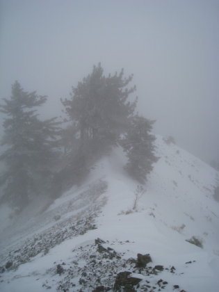 Mt. Baldy Snowstorm