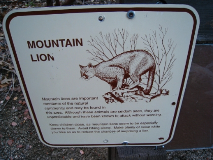 I just like taking pictures of the Mountain Lion signs. One day, I'm actually going to see one.
