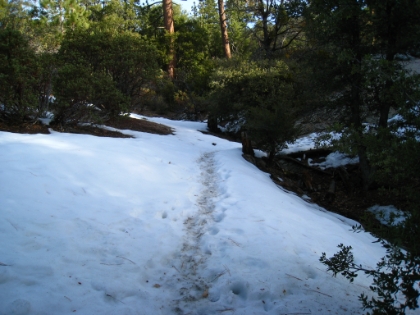At around 6500', I start to hit larger snow patches. It looks like people were on the trail a couple days ago, so I have some tracks to follow. I'm making good time at this point.