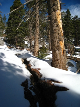 In places, the trail becomes a little creek for melting snow, and the rut is more than knee deep.